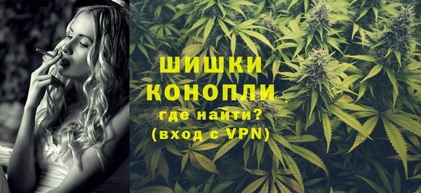 ГАЛЛЮЦИНОГЕННЫЕ ГРИБЫ Богородск