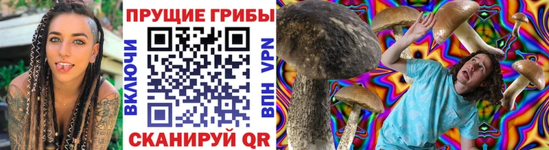 купить наркотик  Богородск  Псилоцибиновые грибы GOLDEN TEACHER 